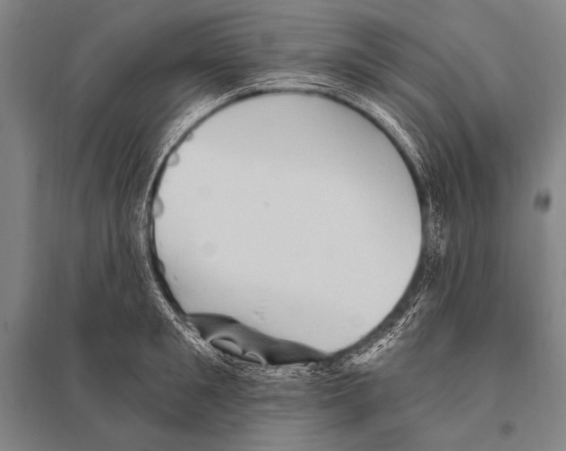 X0000094810901200712141619