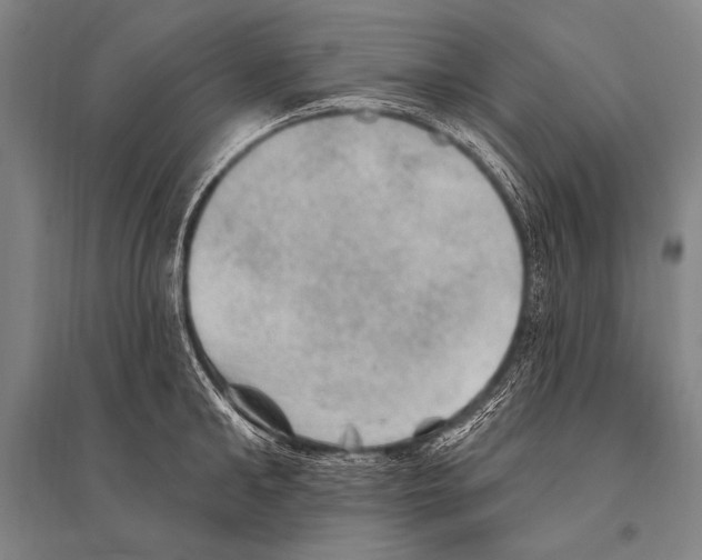 X0000094810902200712141619