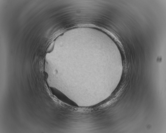 X0000094810905200712141619