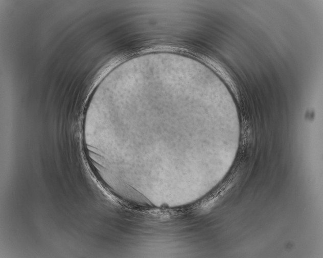 X0000094810906200712141619