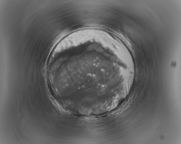 X0000094810907200712141619