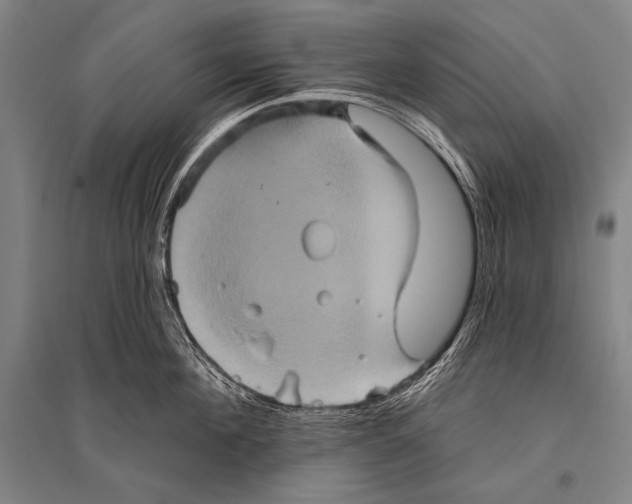 X0000094810908200712141619