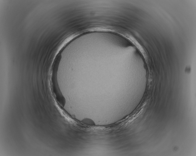 X0000094810909200712141619