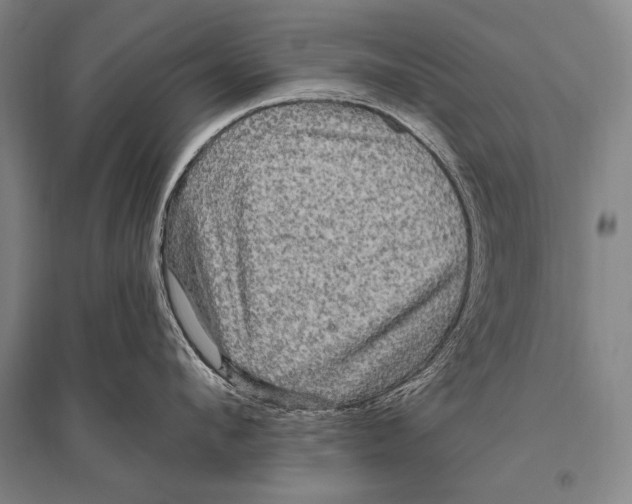 X0000094810912200712141619