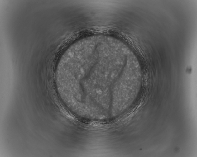 X0000094810913200712141618