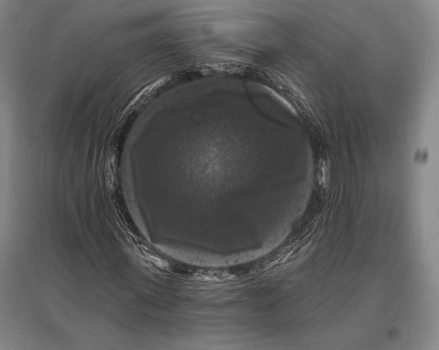 X0000094810915200712141618