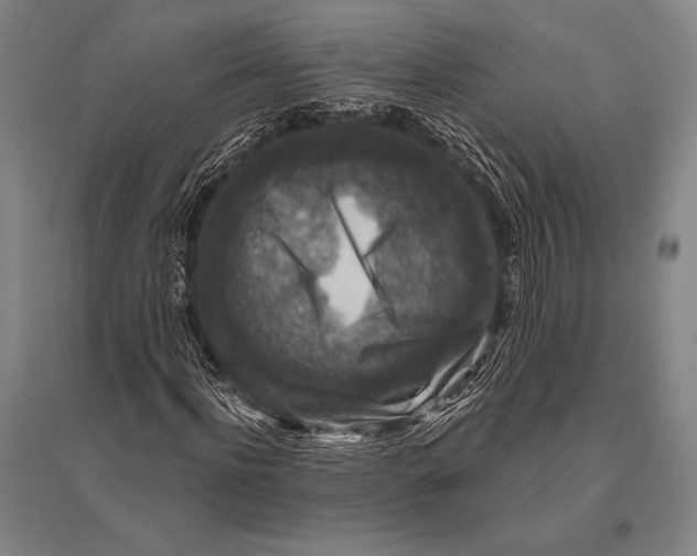 X0000094810916200712141618