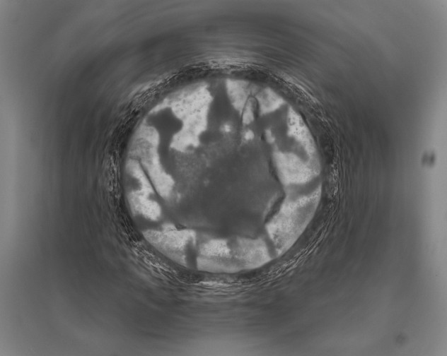 X0000094810917200712141618