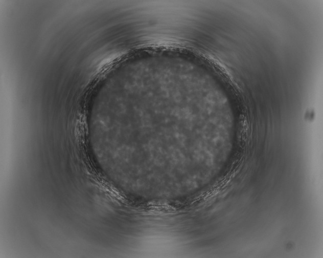 X0000094810918200712141618