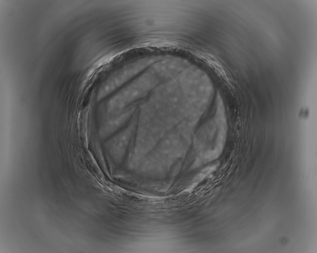 X0000094810920200712141618