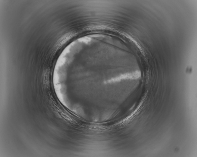 X0000094810921200712141618