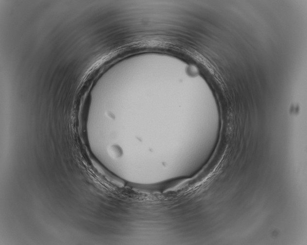 X0000094810922200712141618