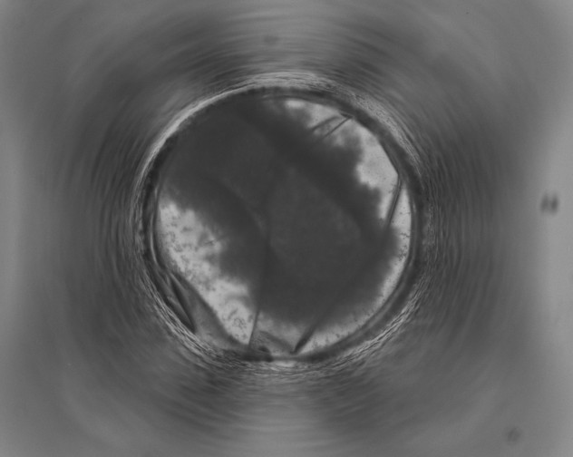 X0000094810923200712141618