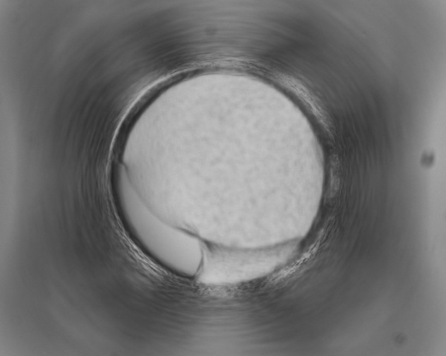 X0000094810924200712141619