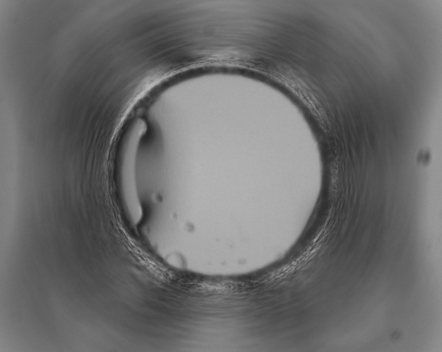 X0000094810926200712141619