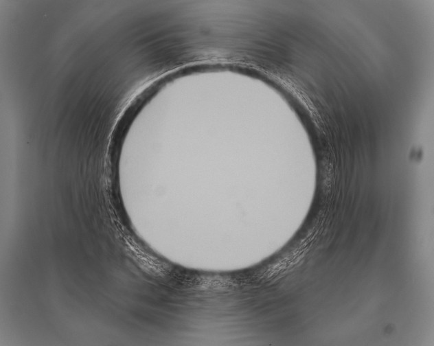 X0000094810927200712141619