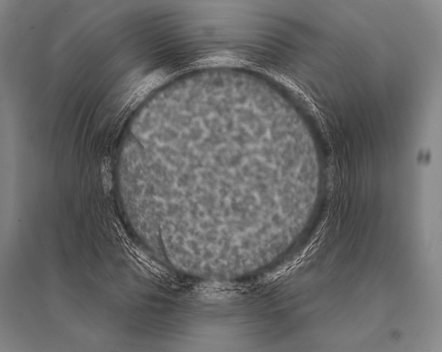 X0000094810929200712141619