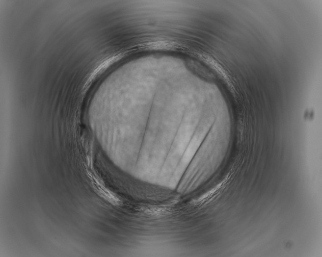 X0000094810930200712141619