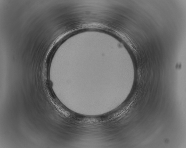 X0000094810931200712141619