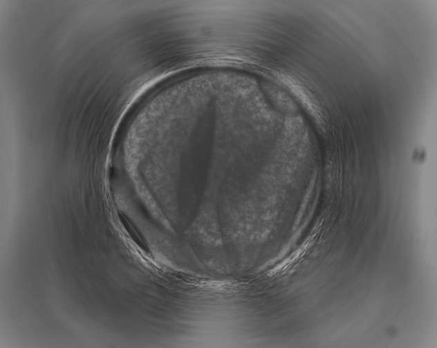 X0000094810932200712141619