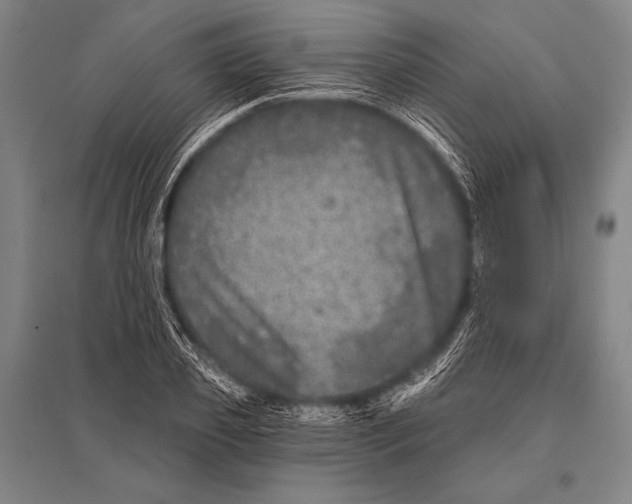 X0000094810933200712141619