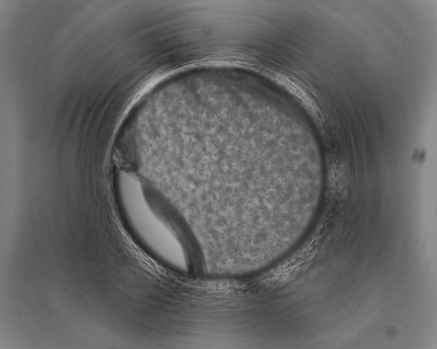 X0000094810934200712141619