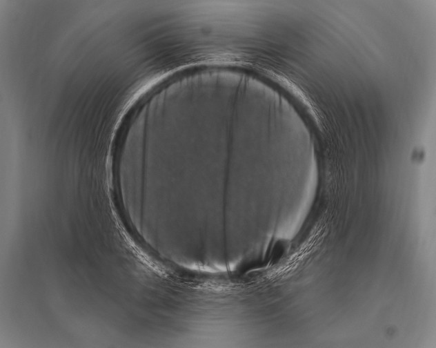 X0000094810935200712141619