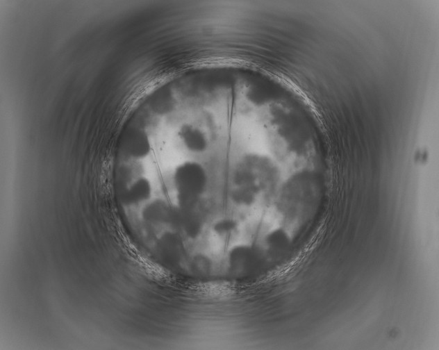 X0000094810937200712141619