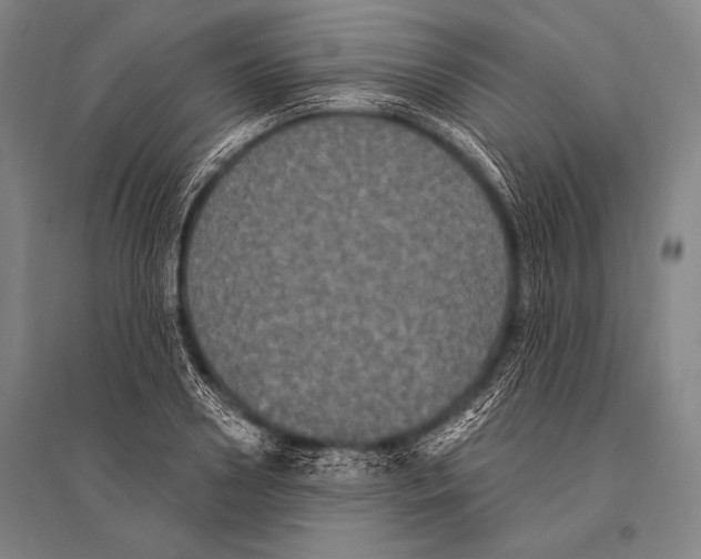 X0000094810938200712141619