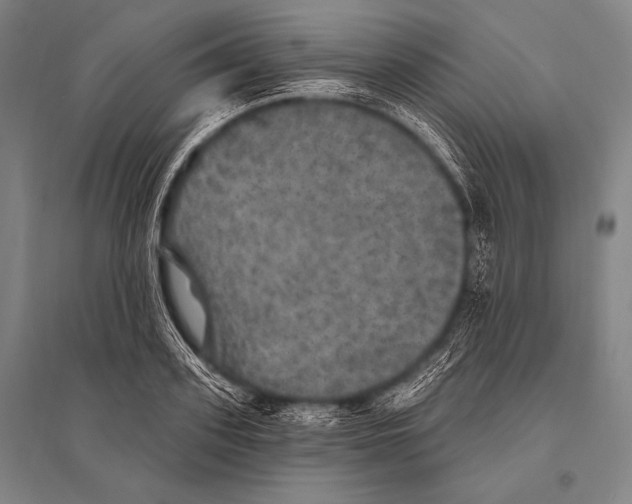 X0000094810939200712141619