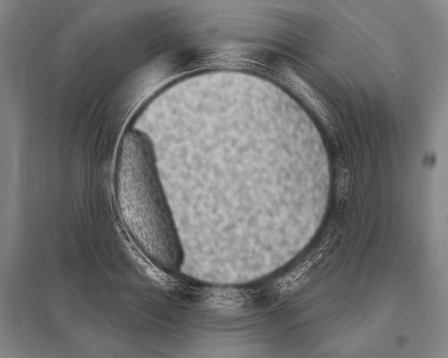 X0000094810940200712141619