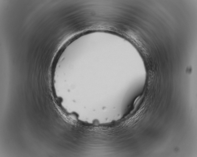 X0000094810942200712141619