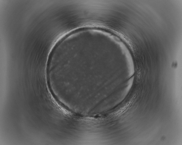 X0000094810943200712141619