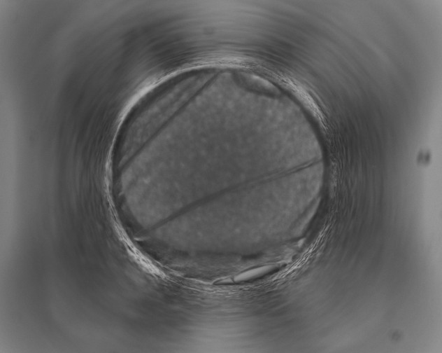 X0000094810944200712141619