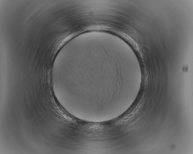 X0000094810945200712141619