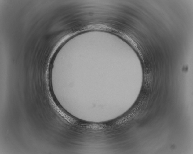 X0000094810947200712141619