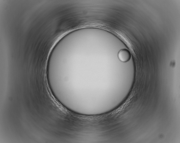 X0000094810948200712141619