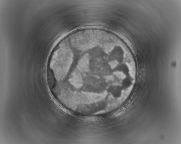 X0000094810949200712141619