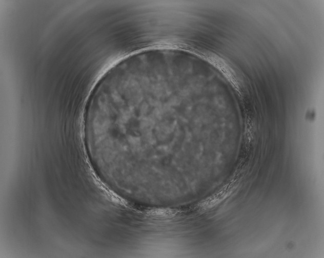 X0000094810950200712141619