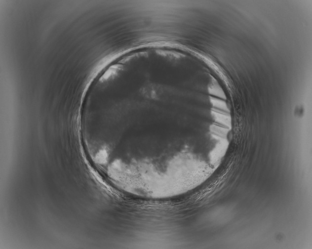 X0000094810951200712141619