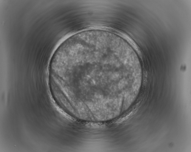 X0000094810955200712141619