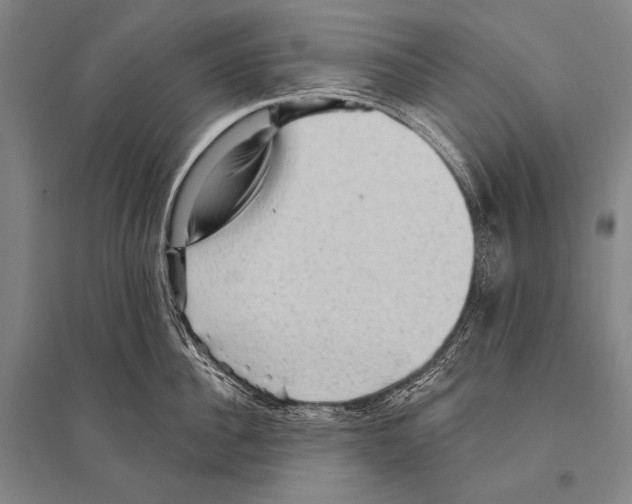 X0000094810956200712141619