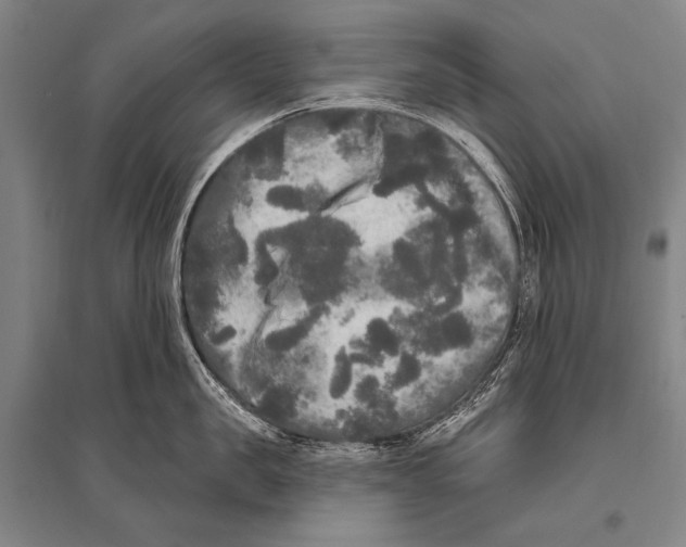 X0000094810957200712141619