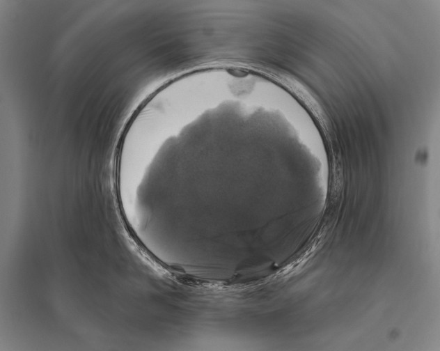 X0000094810958200712141619