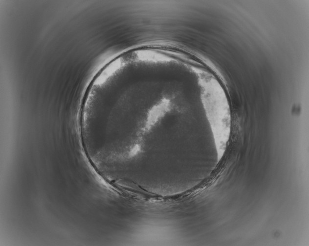 X0000094810959200712141619