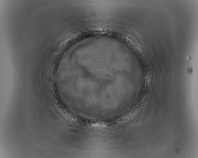 X0000094810961200712141618