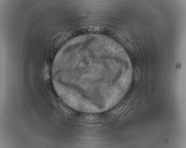 X0000094810962200712141618