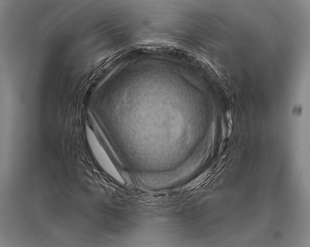 X0000094810965200712141618