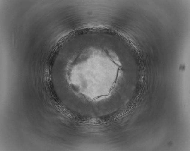 X0000094810966200712141618