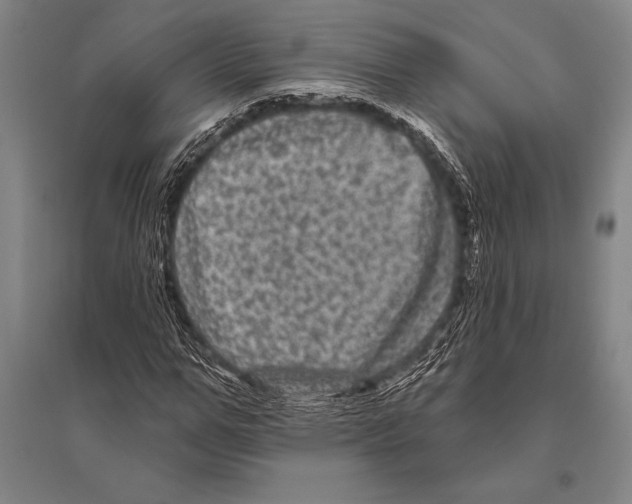 X0000094810967200712141618